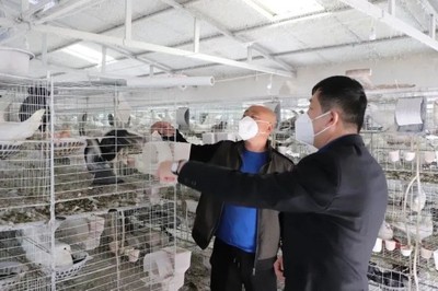 遼源市退役軍人事務(wù)局積極行動(dòng)助力企業(yè)復(fù)工復(fù)產(chǎn)